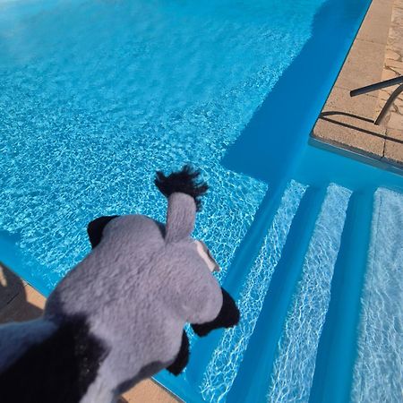 Havre De Paix Appart Climatise,Piscine,Wifi Le Barcares Bagian luar foto